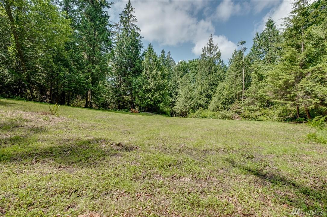 0-Lot B Springridge Rd - Photo 1