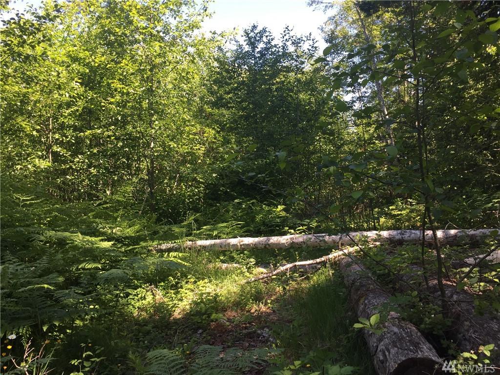 9999 Hwy 112 - Photo 1