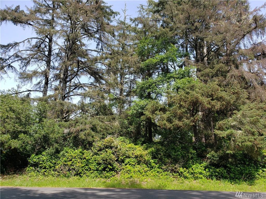516 Quinault Ave - Photo 1