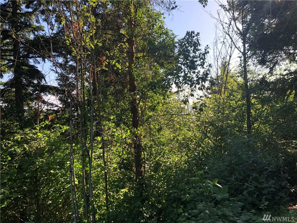 5014 113th Av Ct - Photo 1