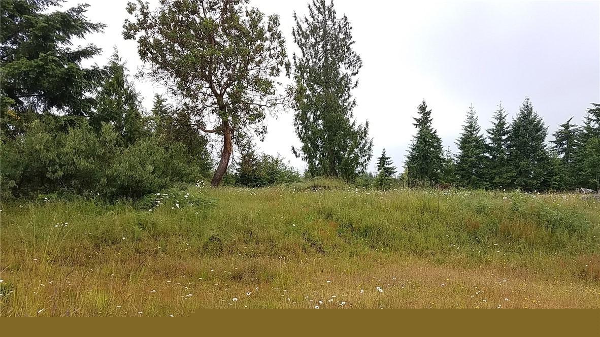 170 Arabian Rd - Photo 1