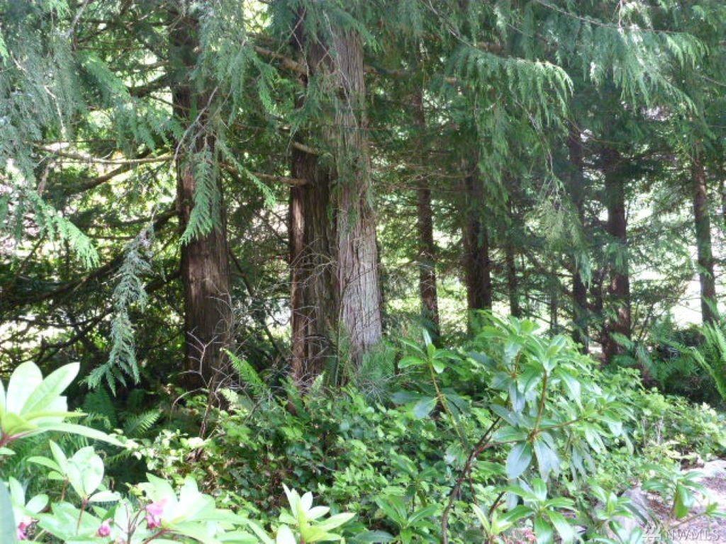 143 Forester Lane - Photo 1