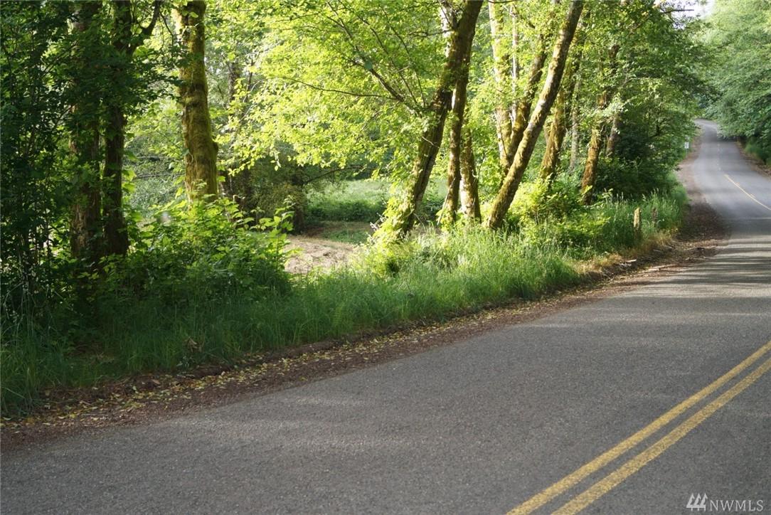 0-M.P. 4.3 West Satsop Rd - Photo 1