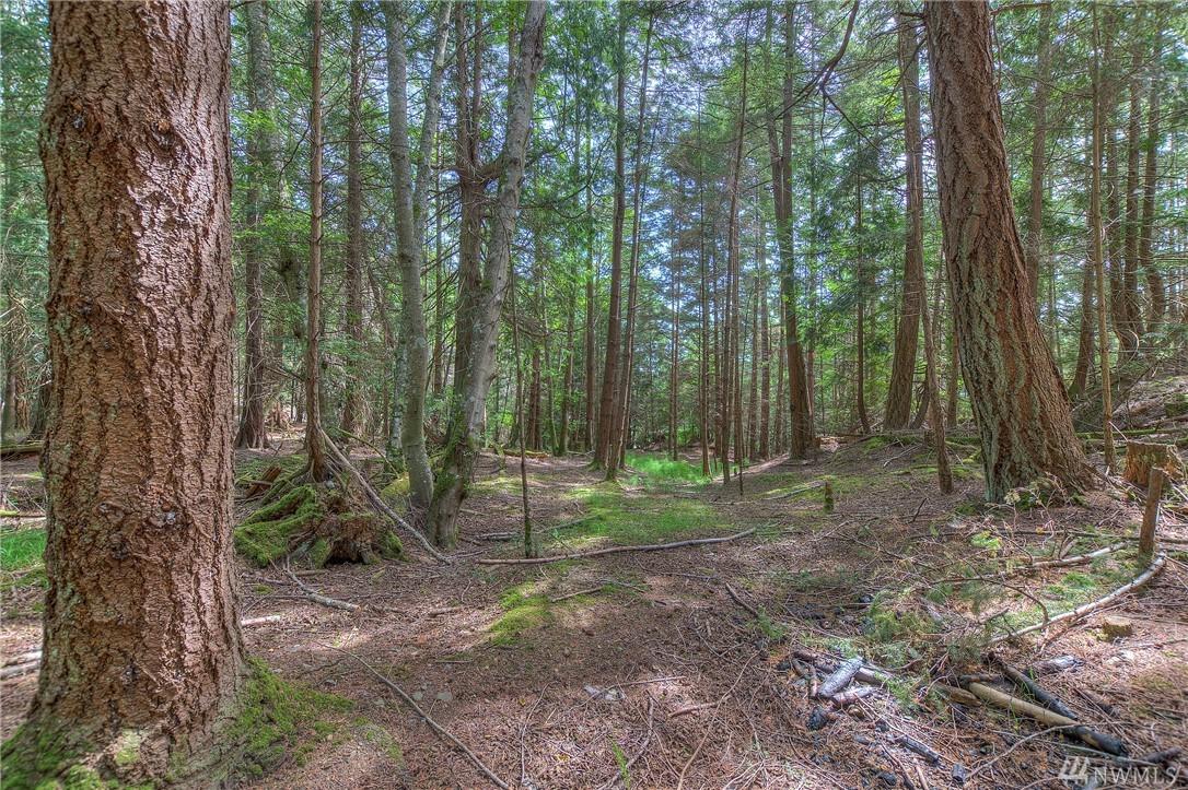 1 Palisades Dr - Photo 1