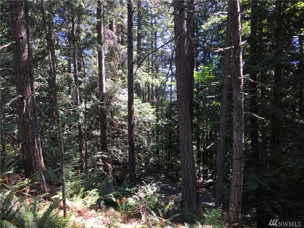 39 High Cliff Lane - Photo 1
