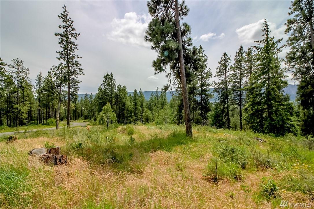 0-Lot 3 Owl Ridge Dr - Photo 1