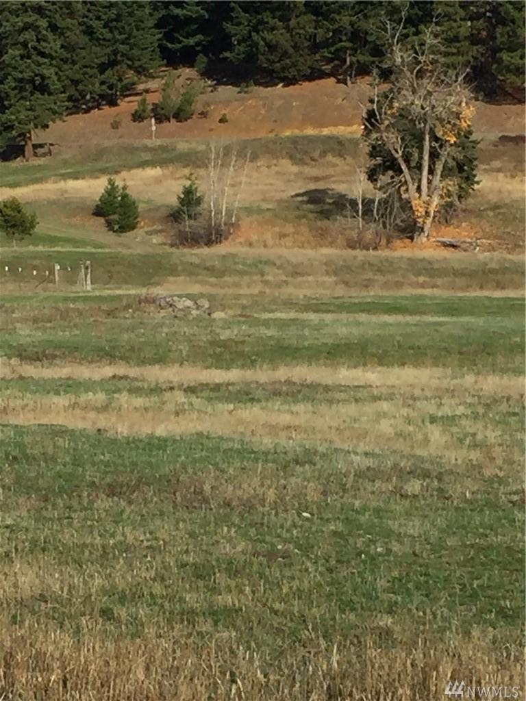 0 Teanaway Middle Fork Rd - Photo 1