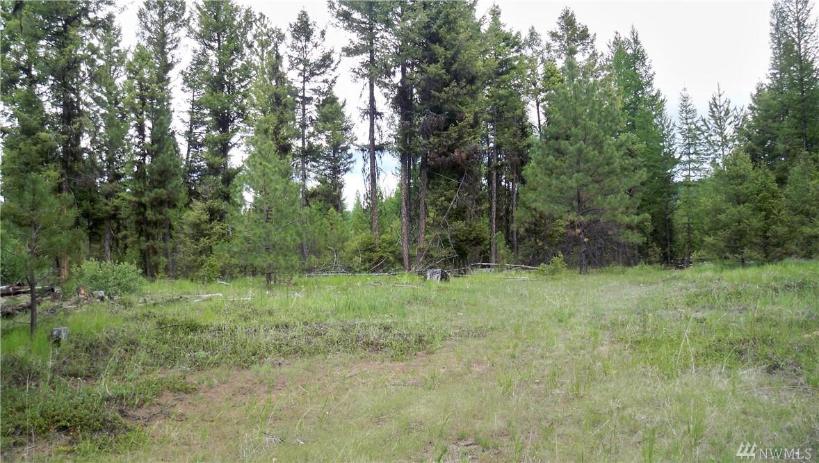 1007 Lightning Creek - Photo 1
