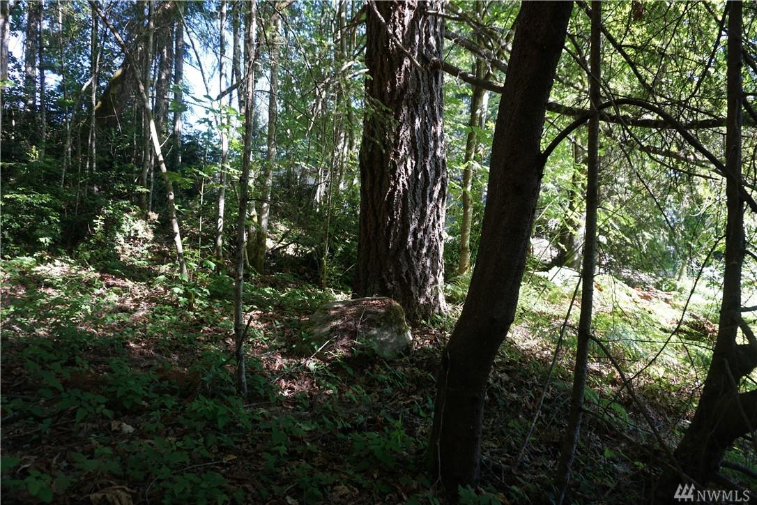 0 Symes Rd - Photo 1