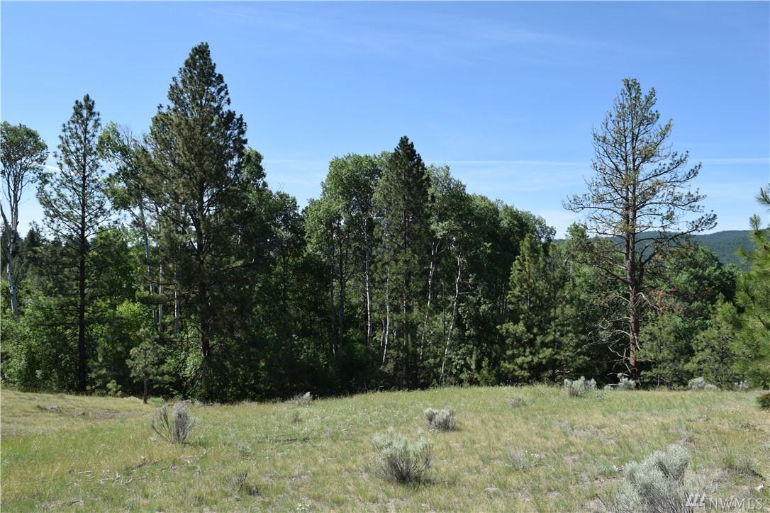 0-NNA Wild Rose Lane - Photo 1