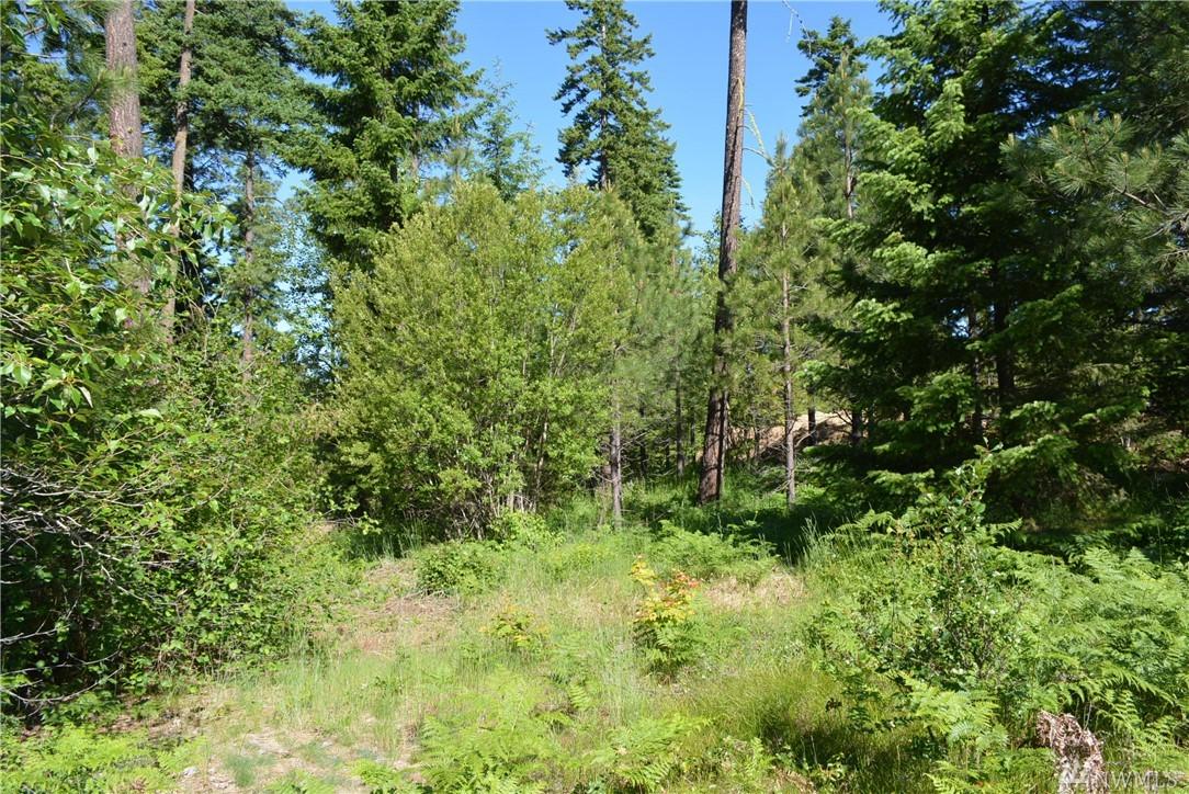 3 Kokanee Lp - Photo 1