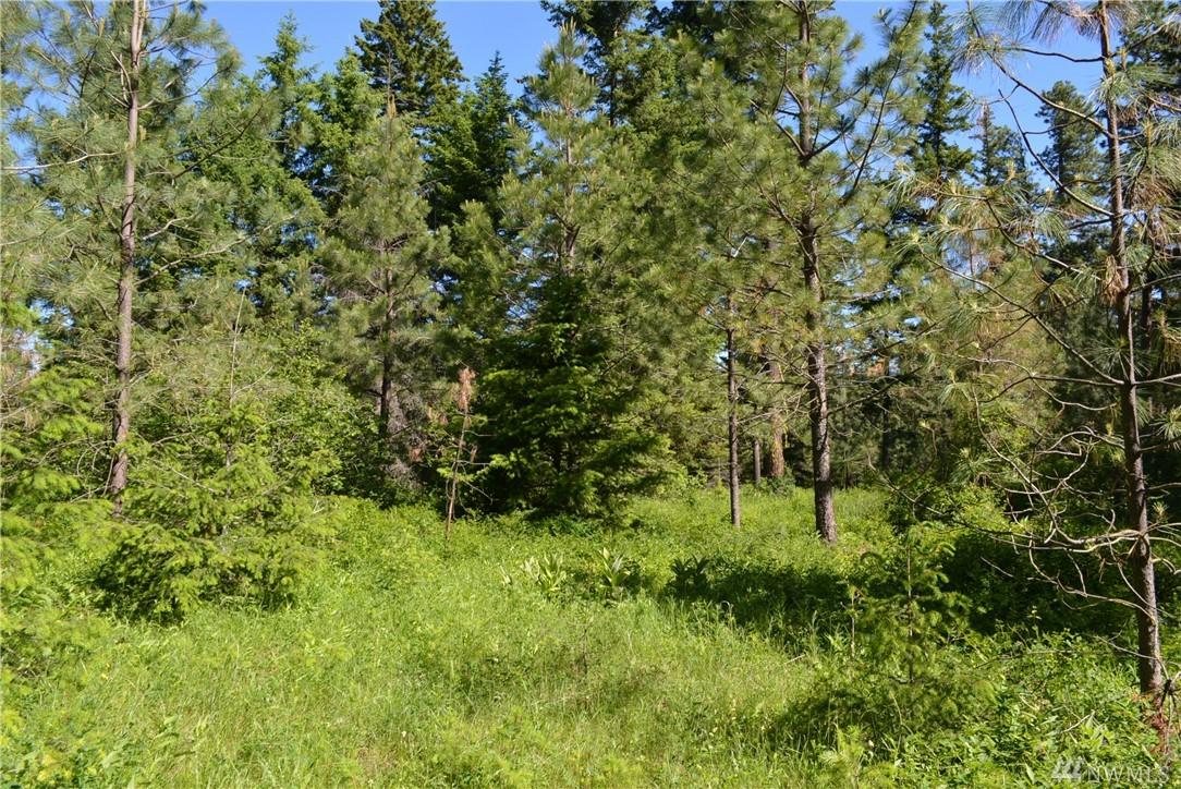 27 Kokanee Lp - Photo 1