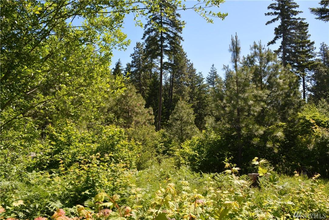 39 Kokanee Lp - Photo 1