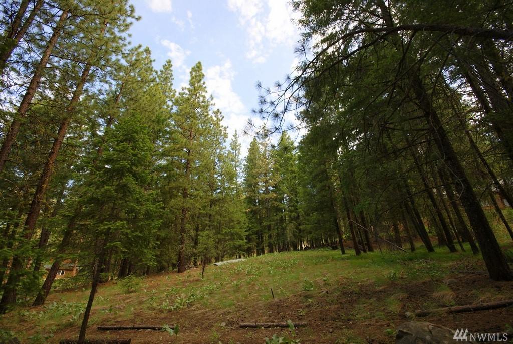 7 Mustard Mountain Rd - Photo 1
