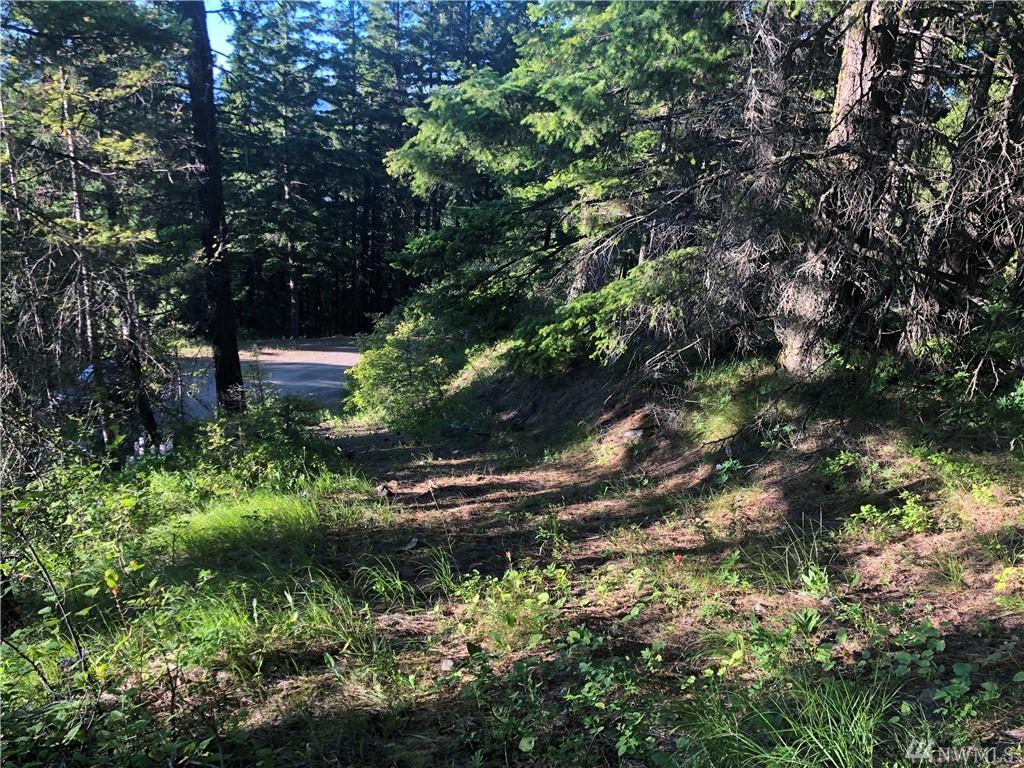 0-Lot 35 Skull Springs Rd - Photo 1