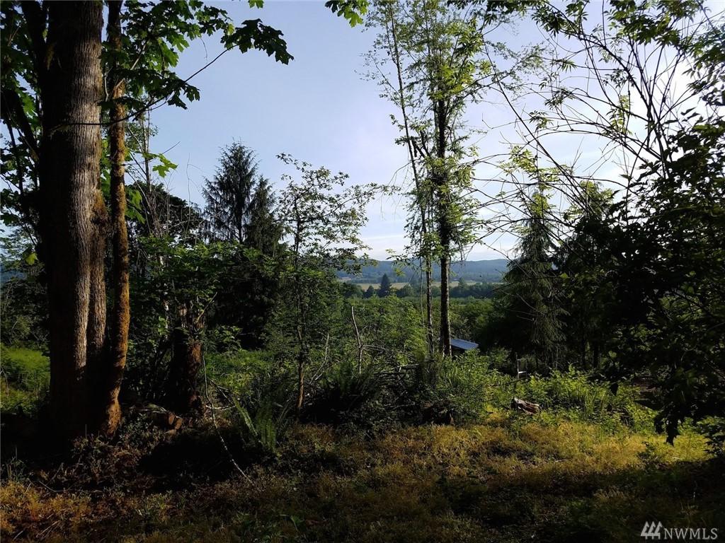 214 Minkler Rd - Photo 1