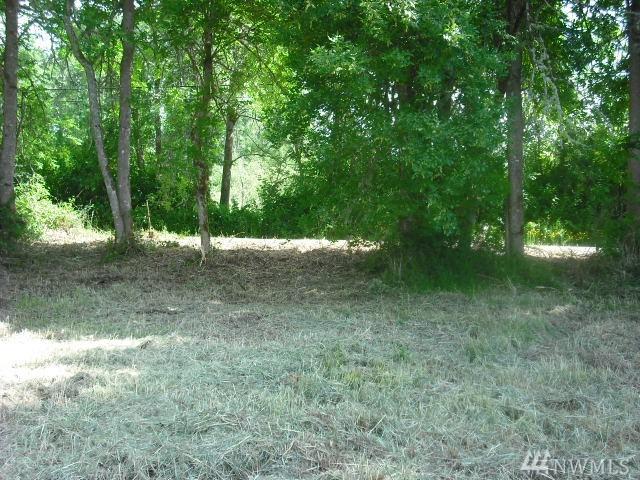 28016 Fielder St - Photo 1