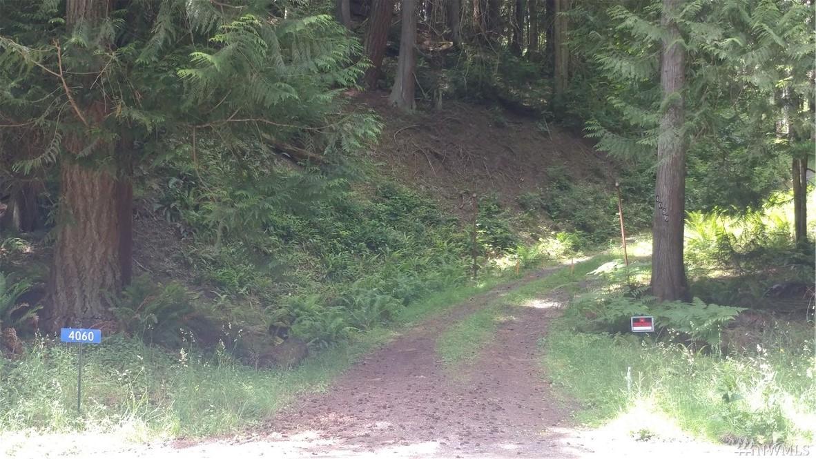 4060 Lone Lake Rd - Photo 1