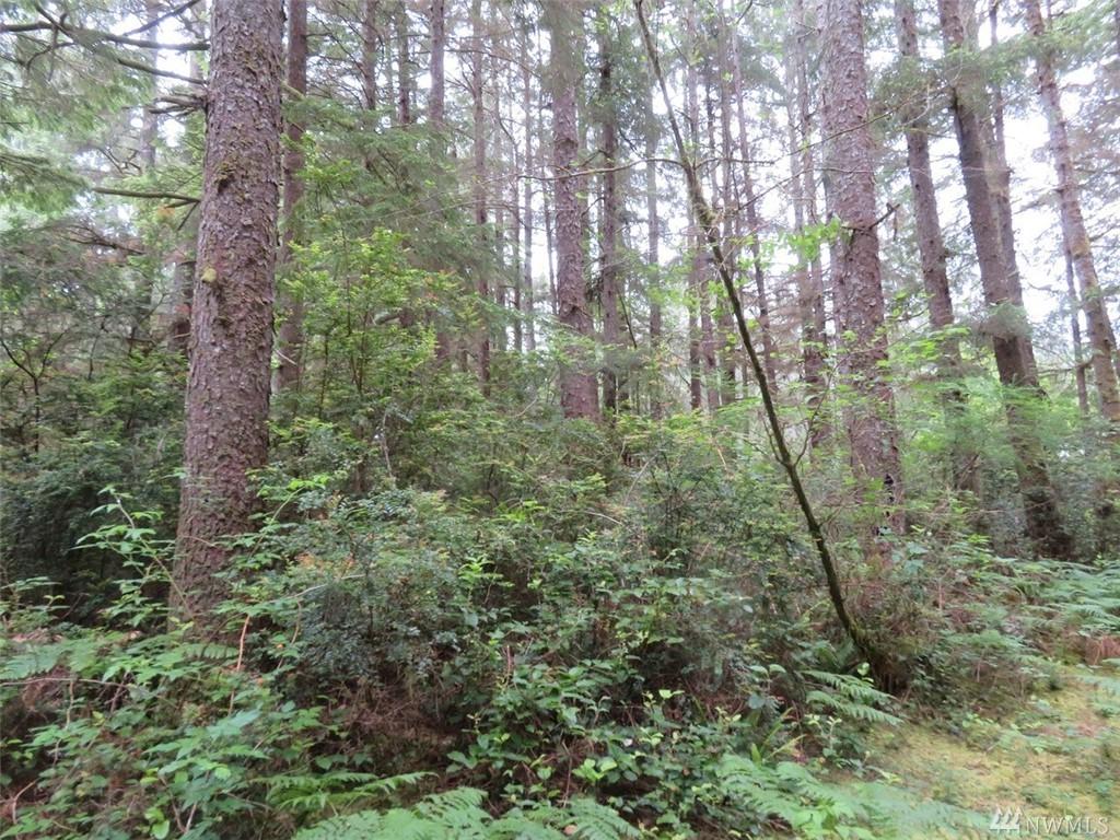 16505 Pacific Wy - Photo 1
