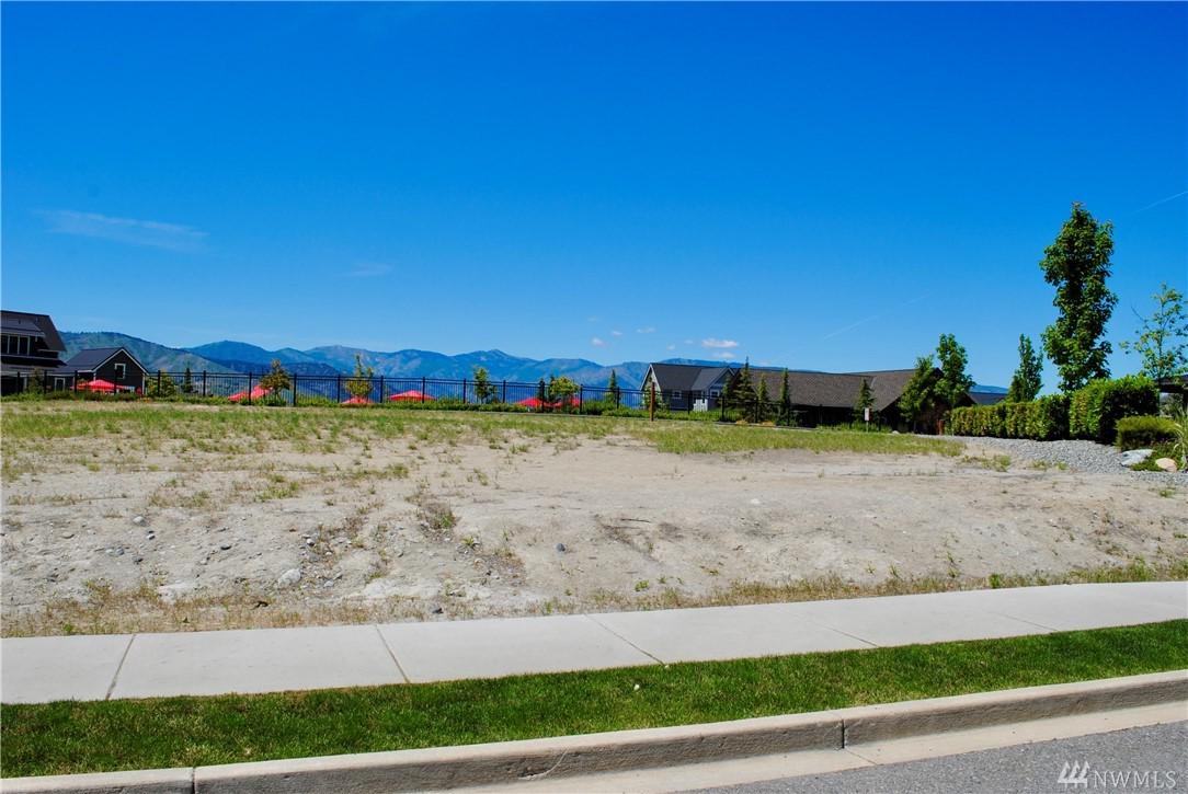 423 Porcupine Lane - Photo 1