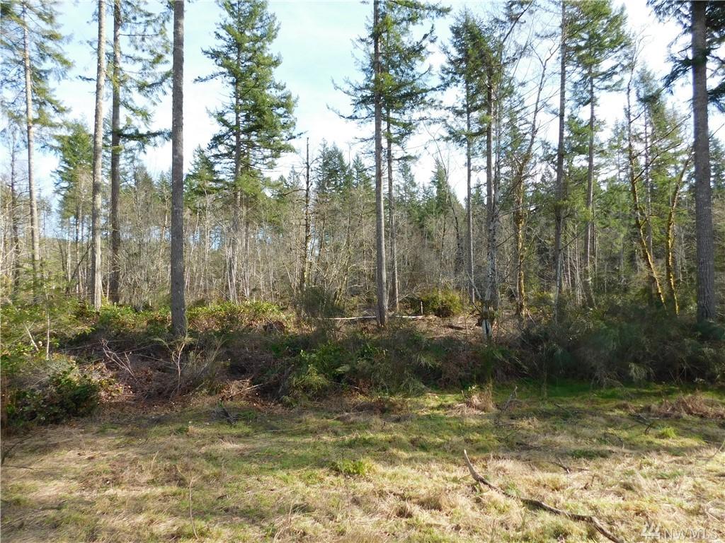 6 Ridge Top Rd - Photo 1
