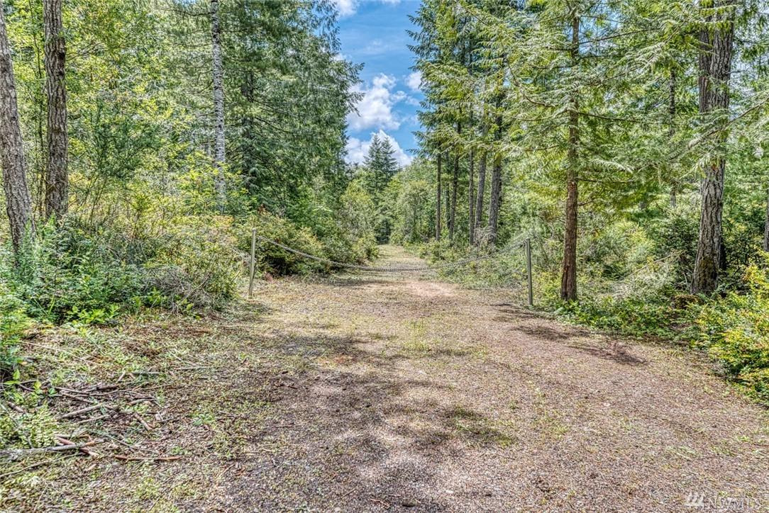 0-Lot 4 Larson Lane - Photo 1
