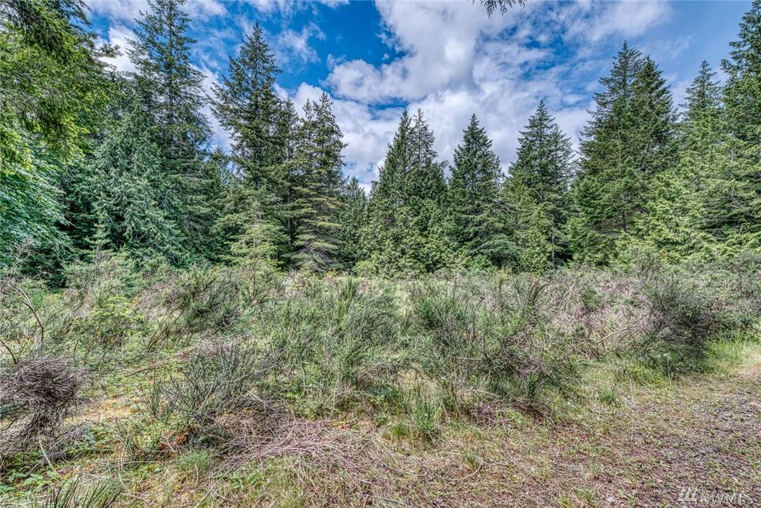 0-Lot 6 Larson Lane - Photo 1