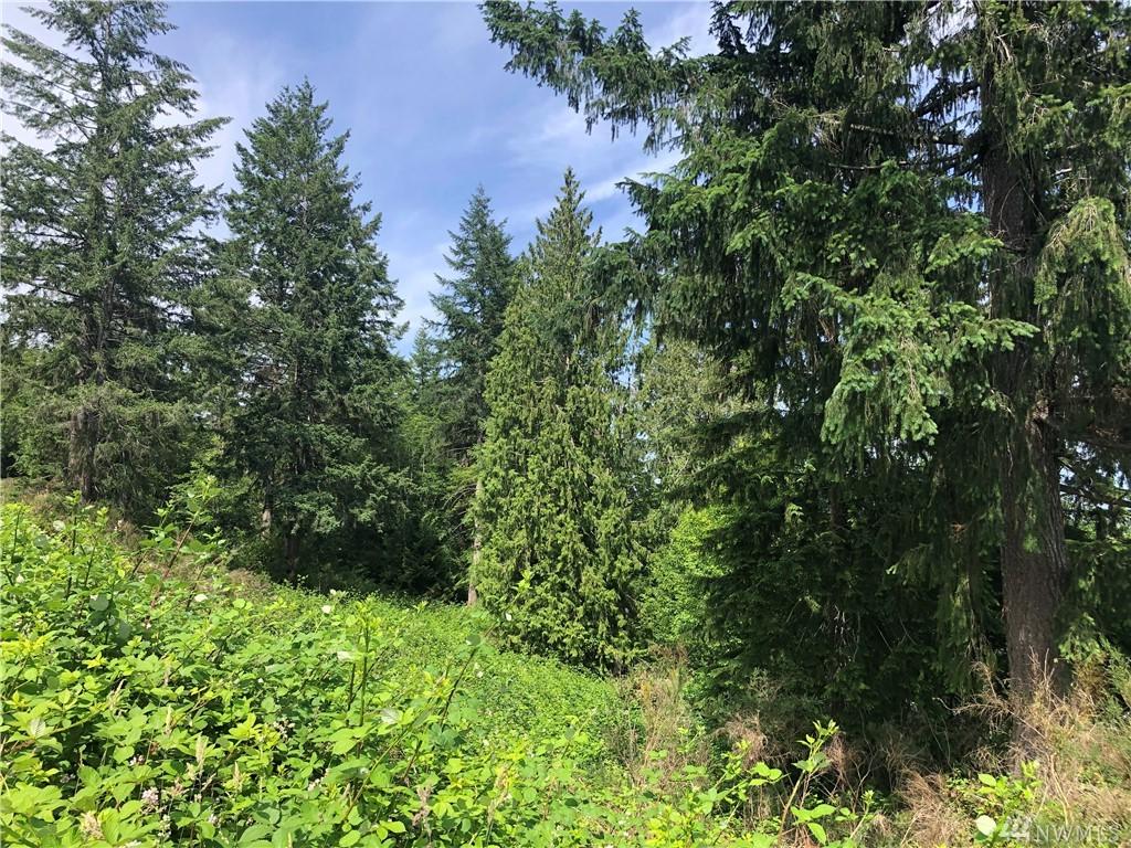0 Allynview Dr - Photo 1