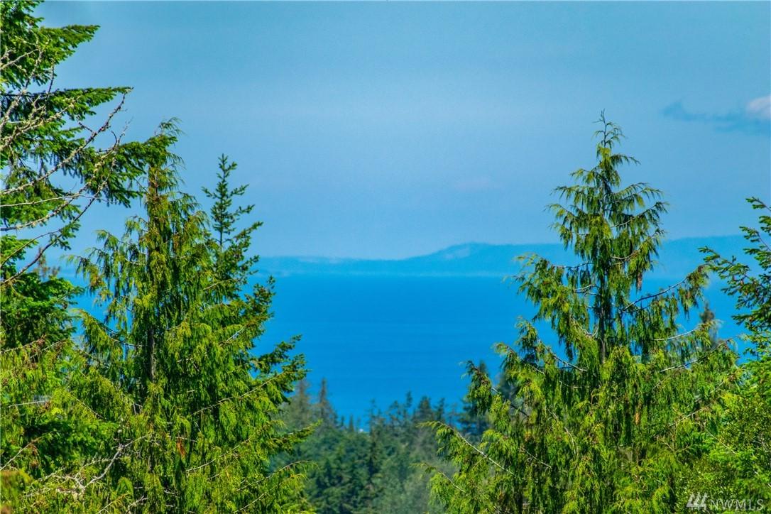 9999 Elk Run Trail - Photo 1