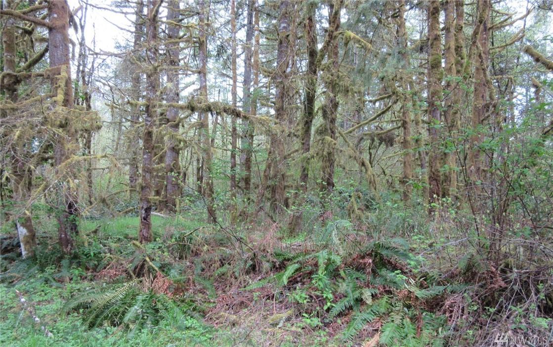 2801 137th Lane - Photo 1