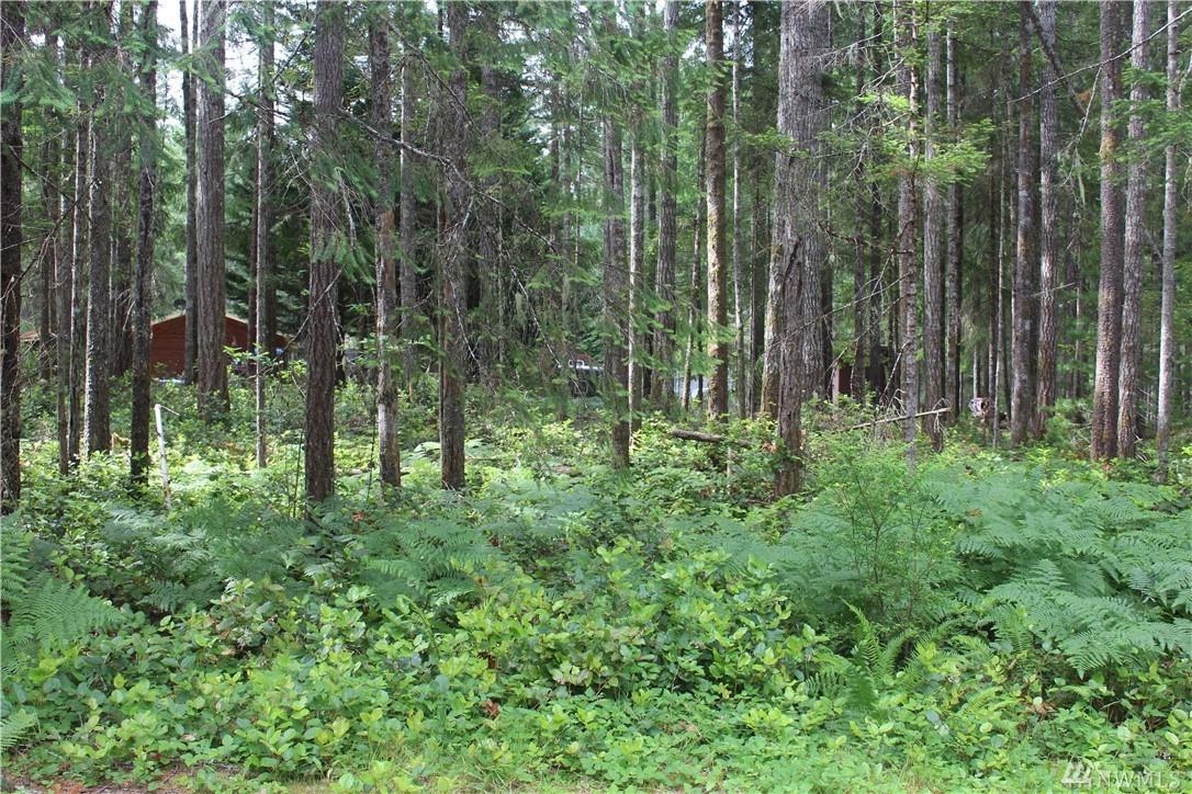 130 Steel Lane - Photo 1