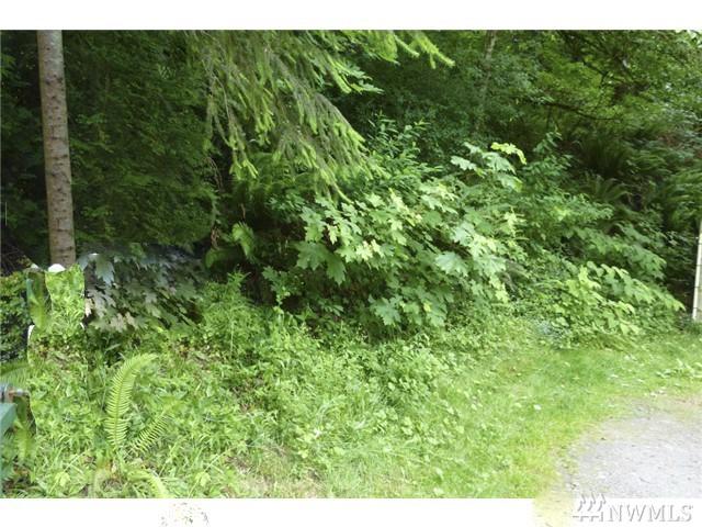 12345 Stiller Blvd - Photo 1