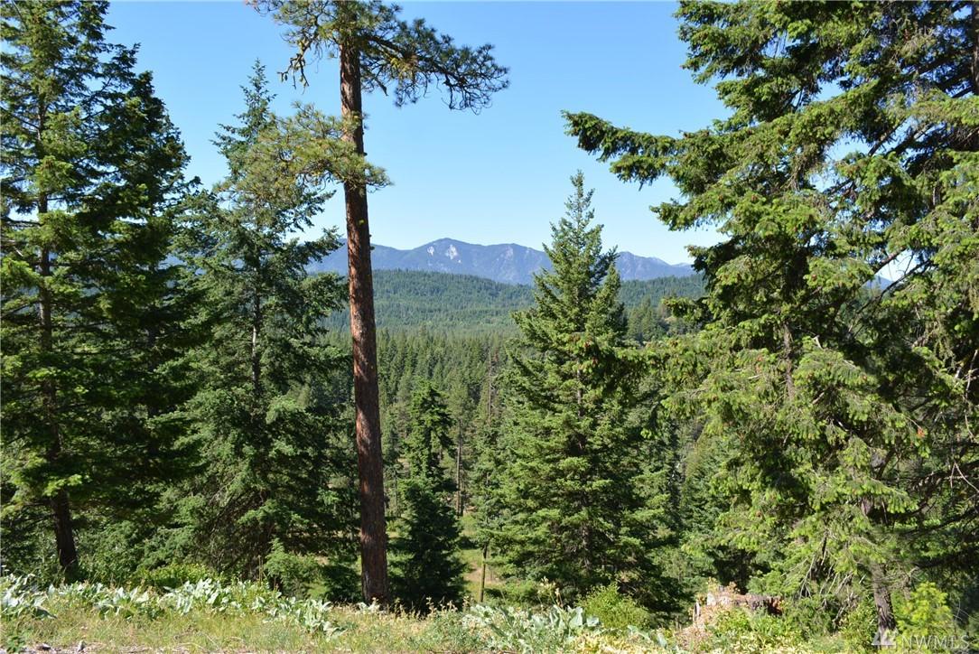 25 Kokanee Lp - Photo 1