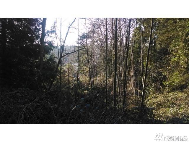 0 Madrona Dr - Photo 1