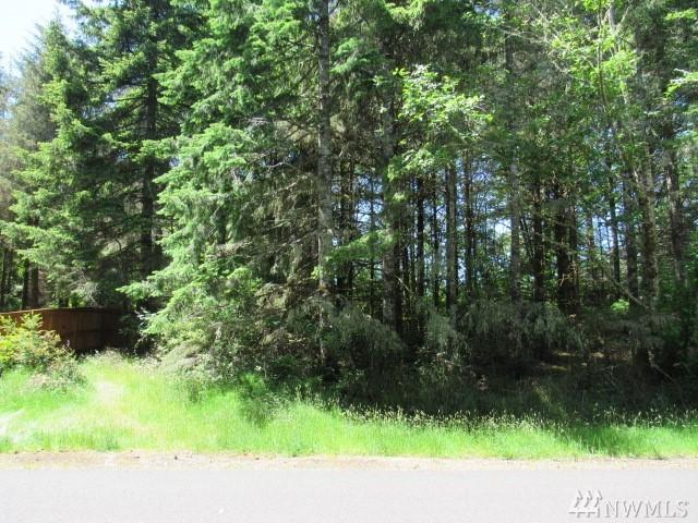 751 Wakina Lp - Photo 1