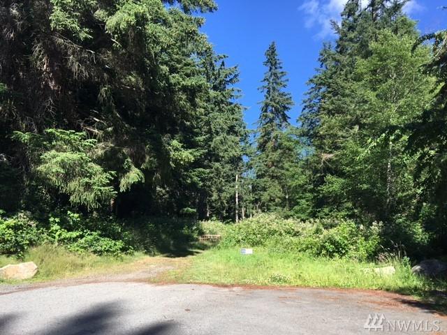 0-XXX Cedar Cove Lane - Photo 1