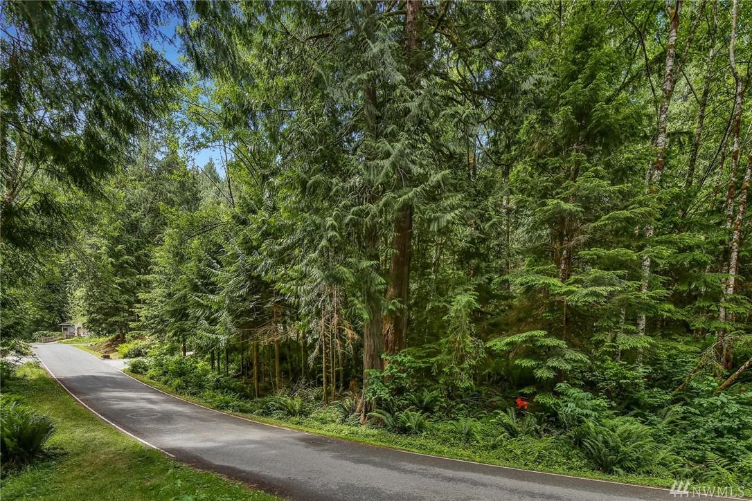 20 Bigleaf Lane - Photo 1