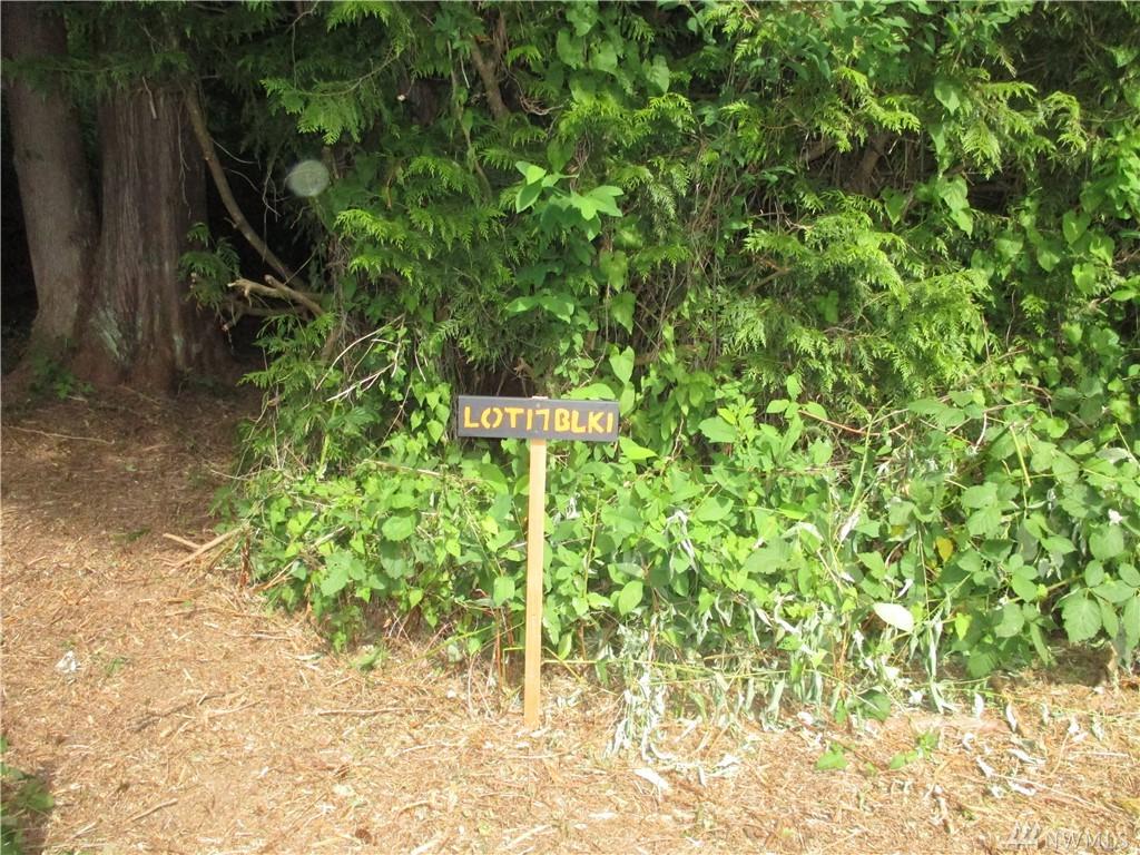0 Ridgeway Place - Photo 1