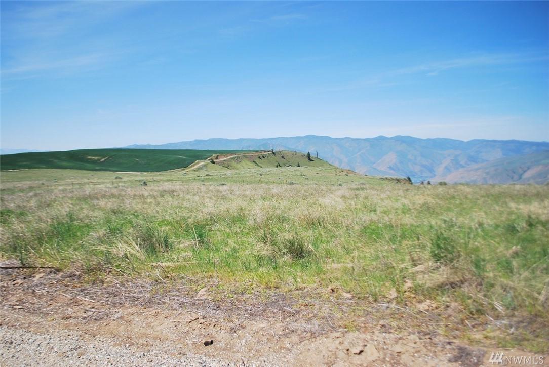 0-Lot 8 Pioneer Ridge Rd - Photo 1
