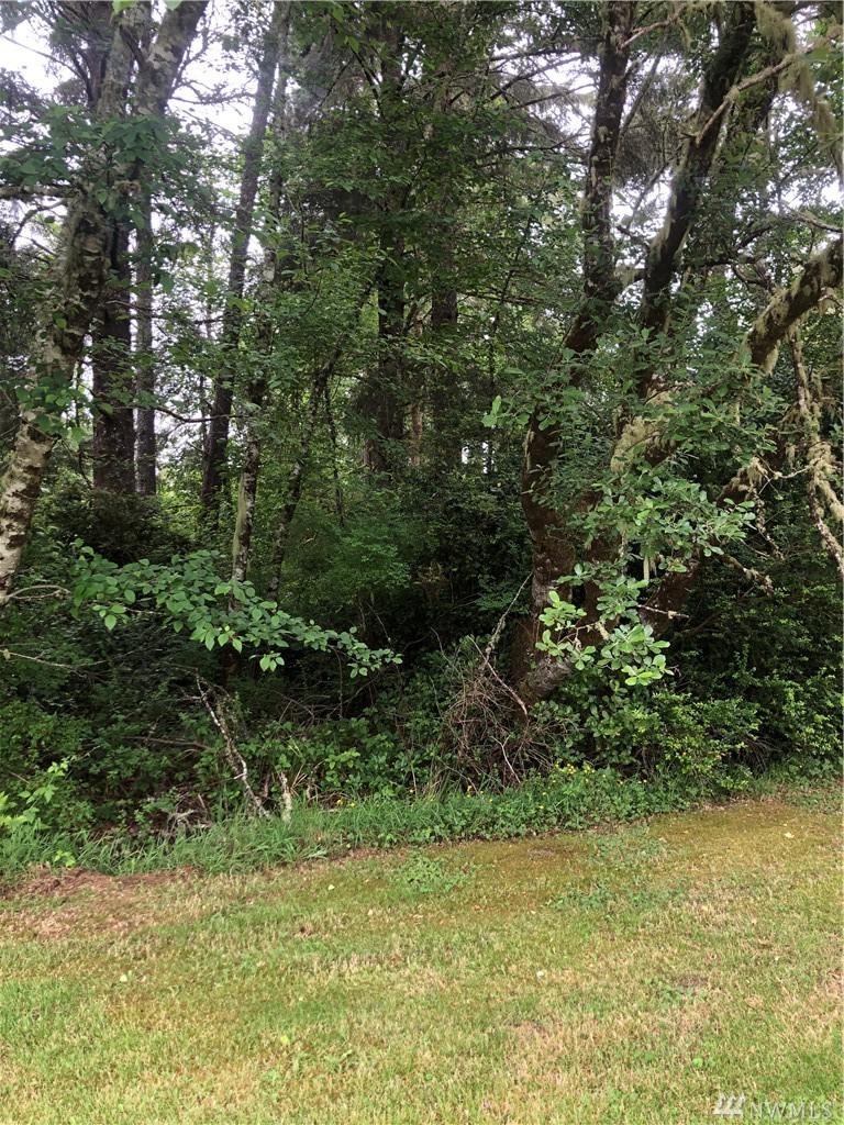 0 S Lane - Photo 1