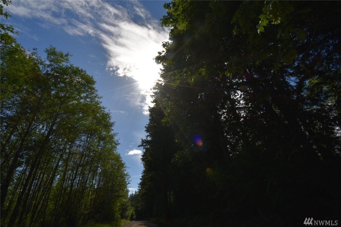 0-X Evans Road - Photo 1