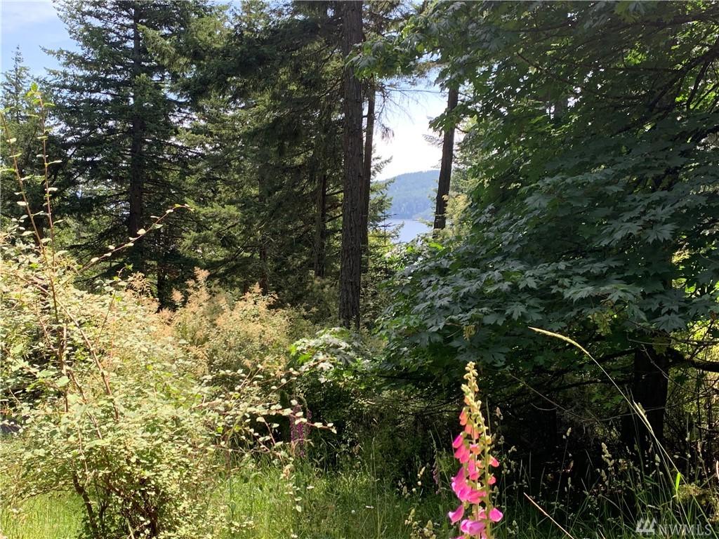720 Rosario Rd - Photo 1