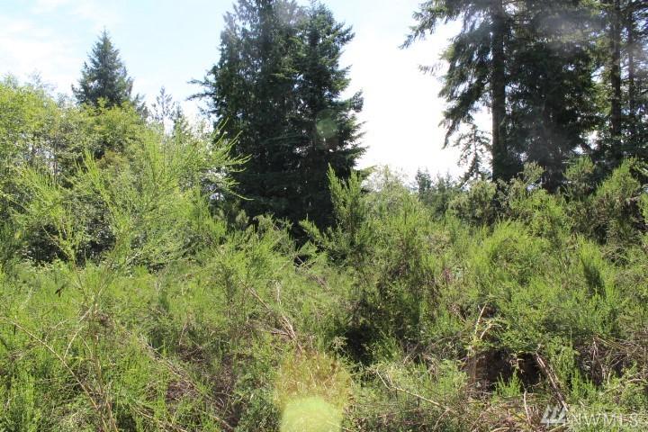 825 Twilight Wy - Photo 1