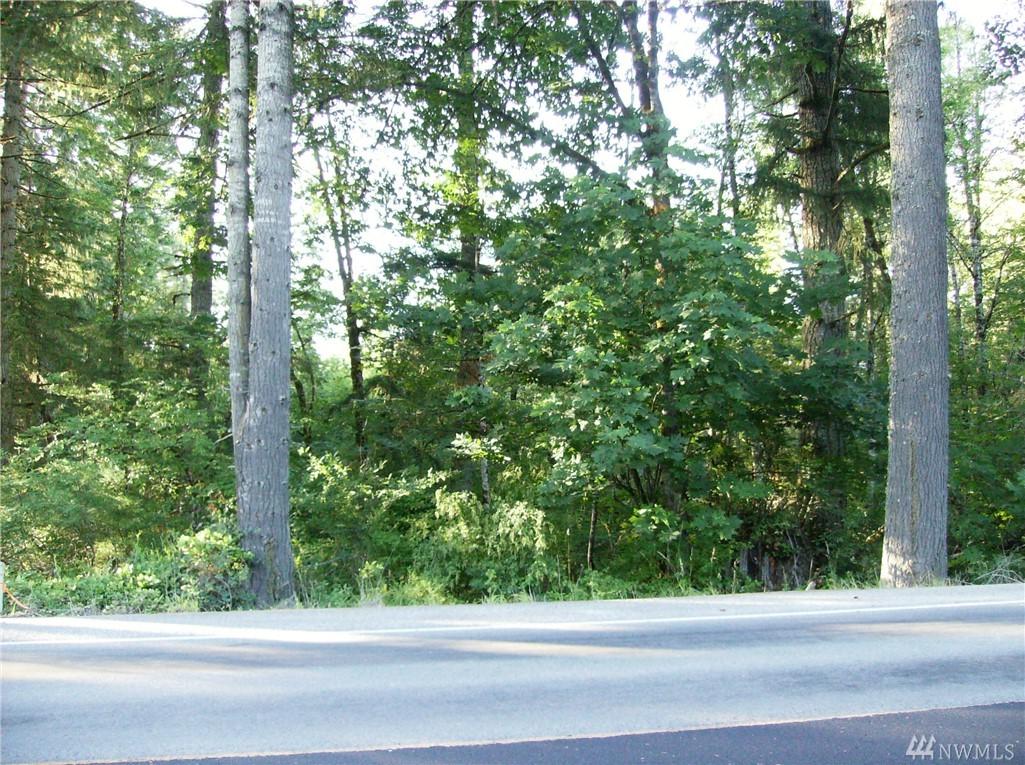 0 Toutle Rd - Photo 1