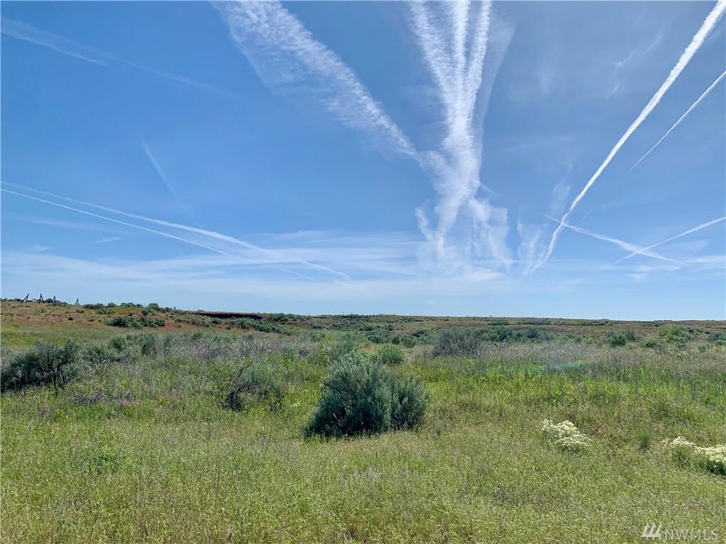 0 Tbd Wilbur-Airport/Scheibner Rd - Photo 1