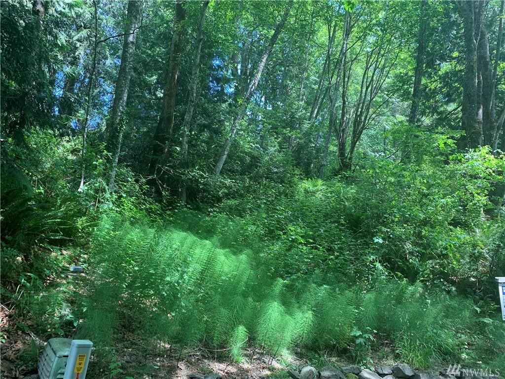 4730 Dunbar Dr - Photo 1