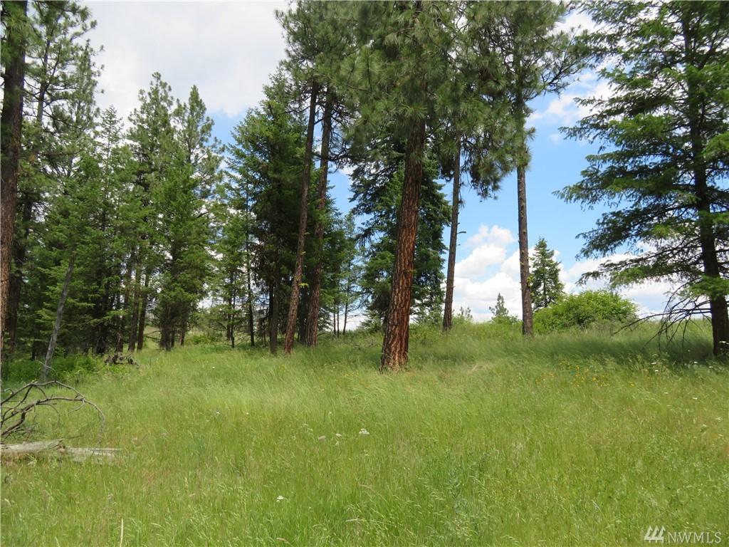 0-TBD Curlew Lake Rd - Photo 1