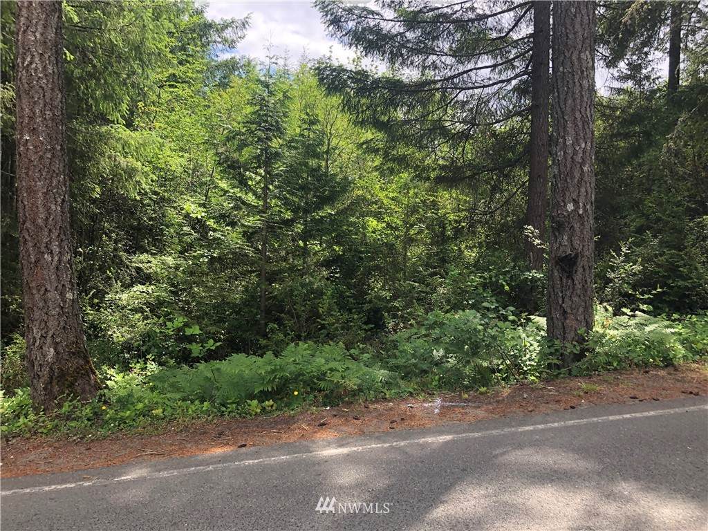 331 Lakeland Drive - Photo 1