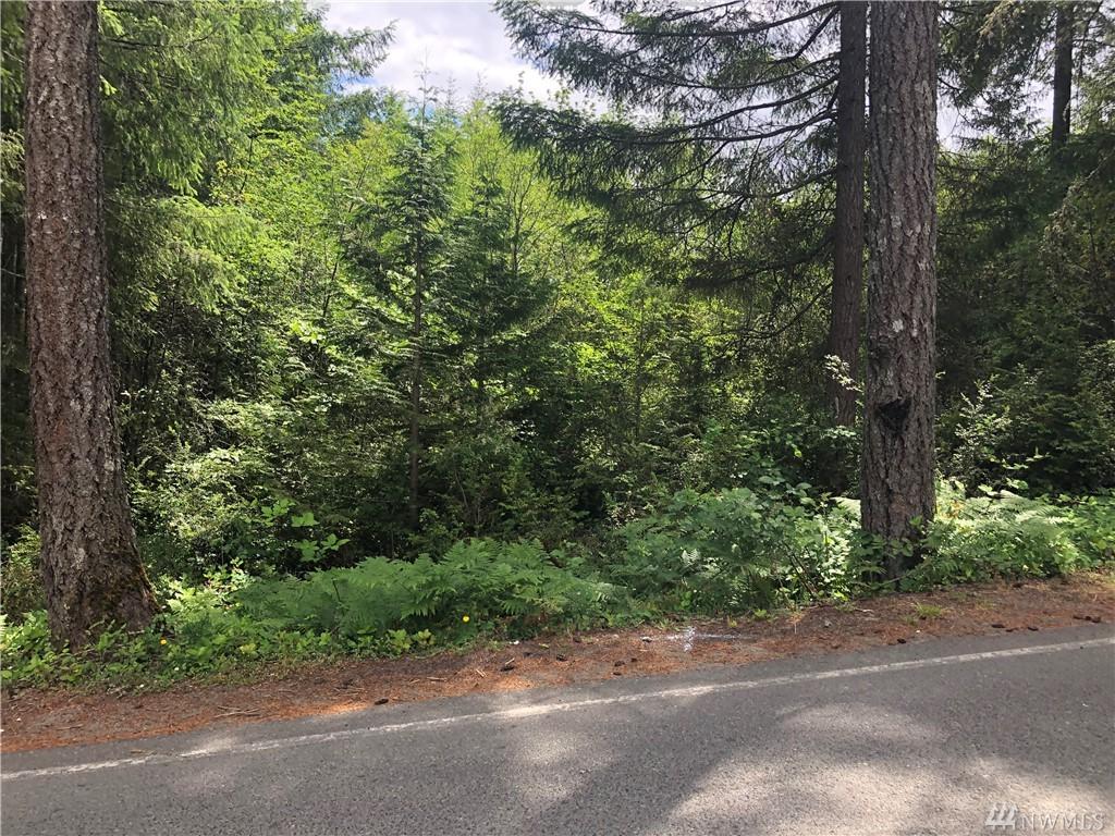 331 Lakeland Dr - Photo 1