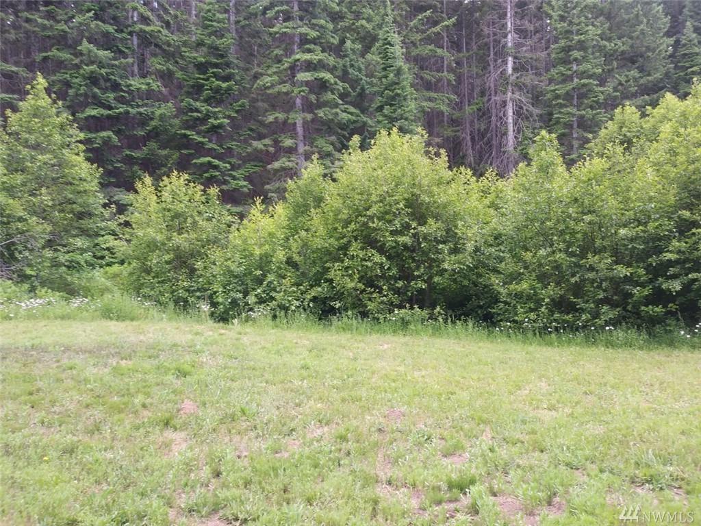 0 Lot 47 Wagon Wheel Rd - Photo 1